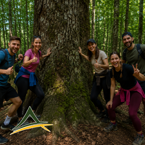 Begovo blago